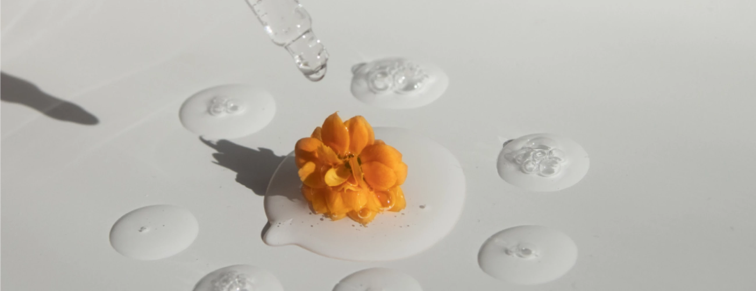Immagine di copertina della pagina Servizi della Farmacia Nobile a Udine